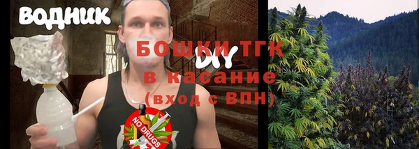 индика Снежногорск