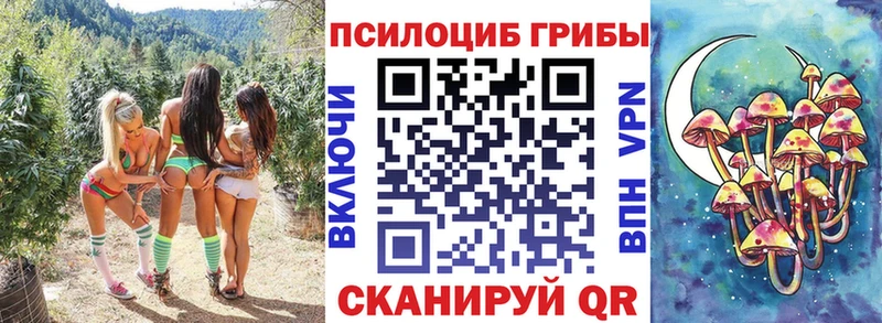 Галлюциногенные грибы Cubensis  кракен зеркало  Никольское  цены наркотик 